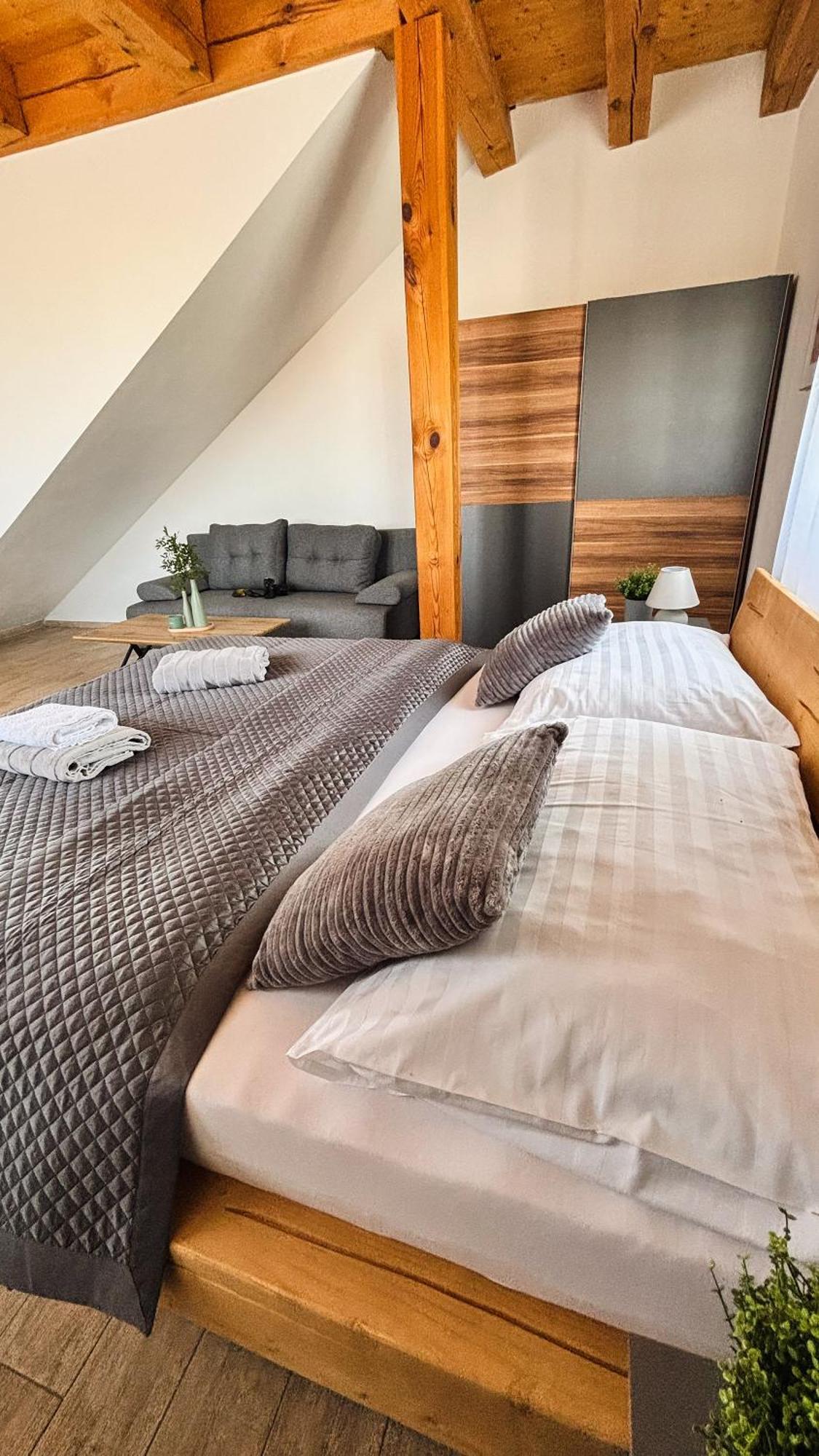 צ'סקה בודיוביצה Wellness Hotel & Minipivovar Knezinek מראה חיצוני תמונה