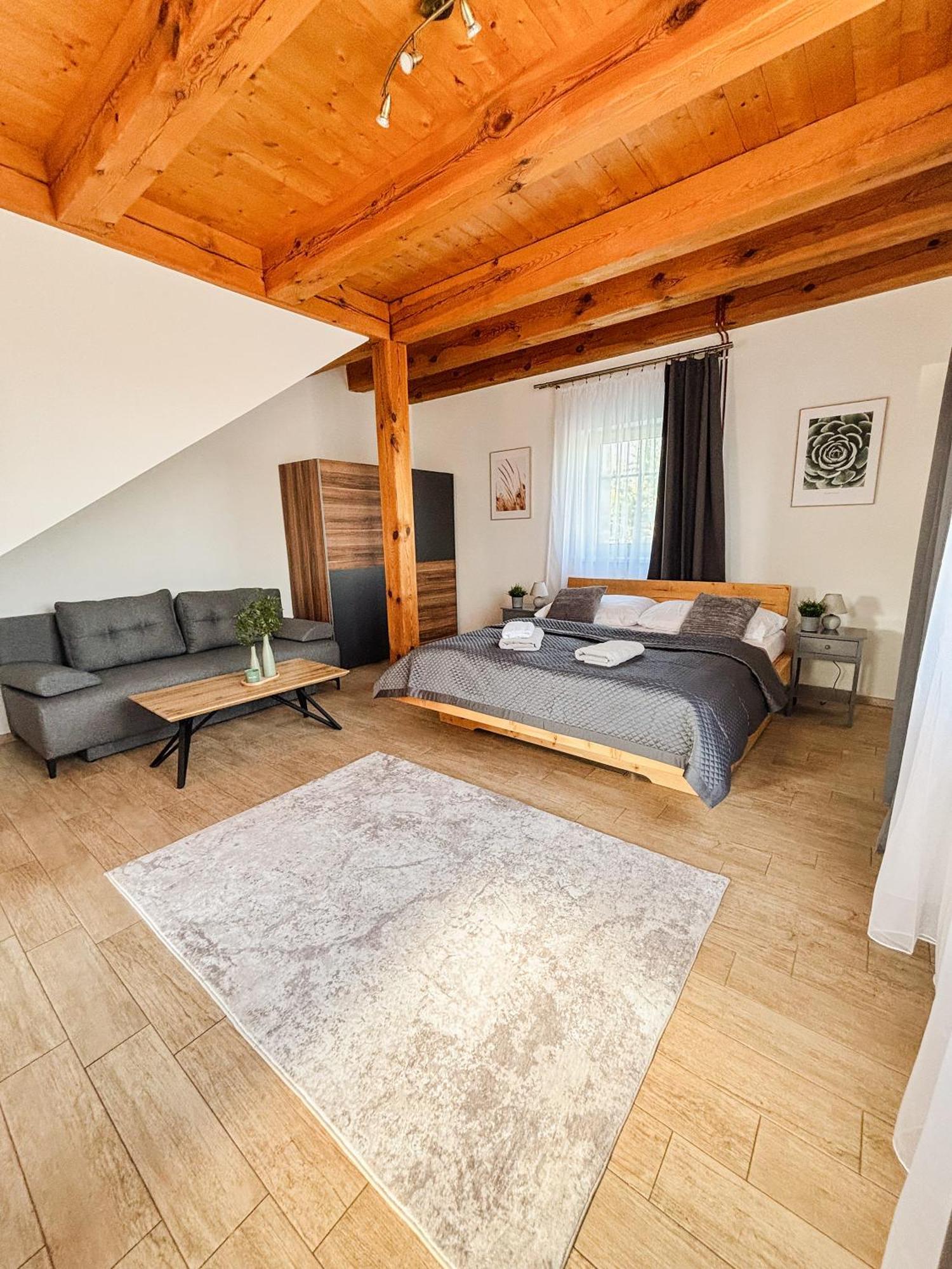 צ'סקה בודיוביצה Wellness Hotel & Minipivovar Knezinek מראה חיצוני תמונה